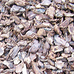 Small bark